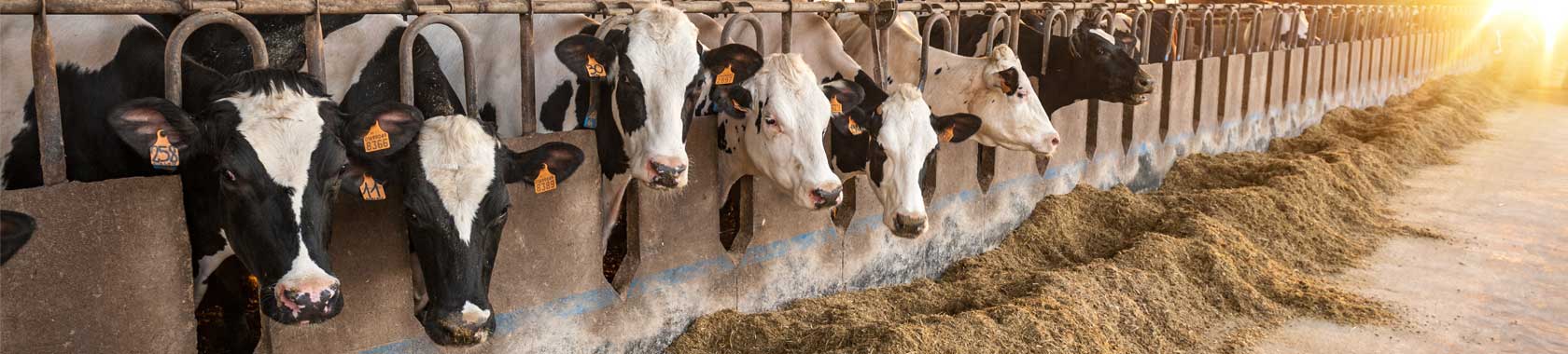 coumpond feed and coarse mix applications